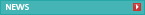 Intranet