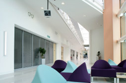 Conferencing: the street & reception area