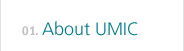 About UMIC