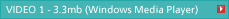 VIDEO 1 - 3.3mb (Windows Media Player)