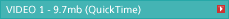 VIDEO 1 - 9.7mb (QuickTime)