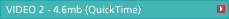 VIDEO 2 - 4.6mb (QuickTime)