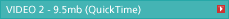 VIDEO 2 - 9.5mb (QuickTime)
