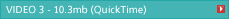 VIDEO 3 - 10.3mb (QuickTime)