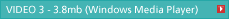 VIDEO 3 - 3.8mb (Windows Media Player)