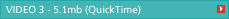 VIDEO 3 - 5.1mb (QuickTime)